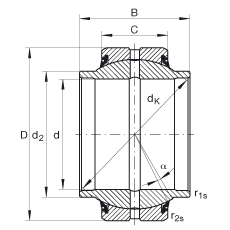 P(gun)(ji)S GE30-HO-2RS, (j) DIN ISO 12 240-1 (bio)(zhn), So(h)ɂ(c)ܷ